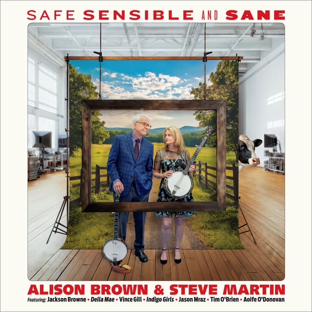 Album cover art for Safe, Sensible and Sane