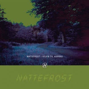 Album cover art for Vejen Til Asgård