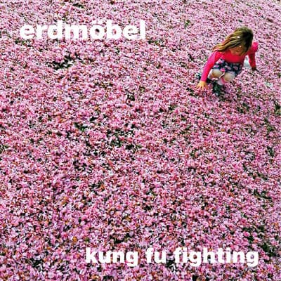 Album cover art for Kung Fu Fighting