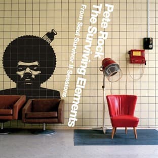 Album cover art for The Surviving Elements: From Soul Survivor II Sessions