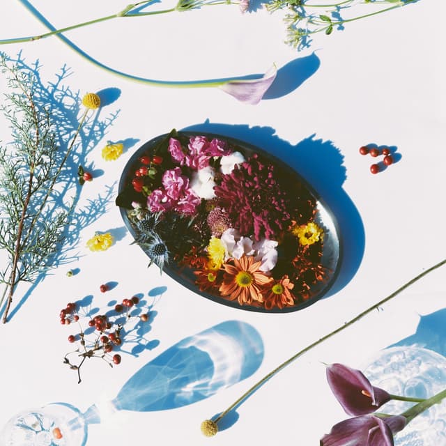 Album cover art for Hors D'oeuvre