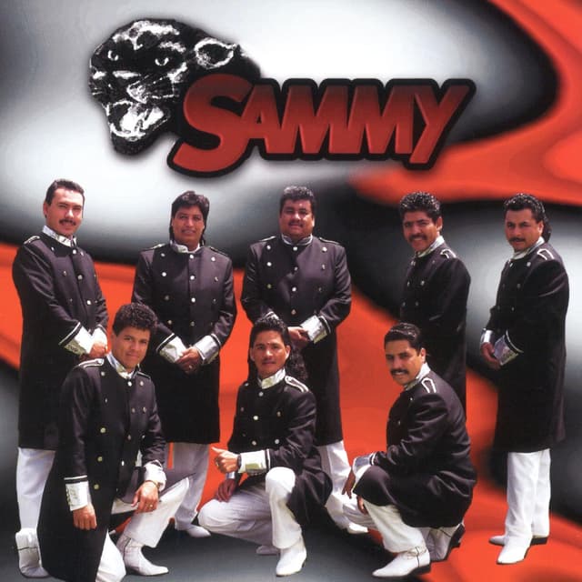 Album cover art for Sammy