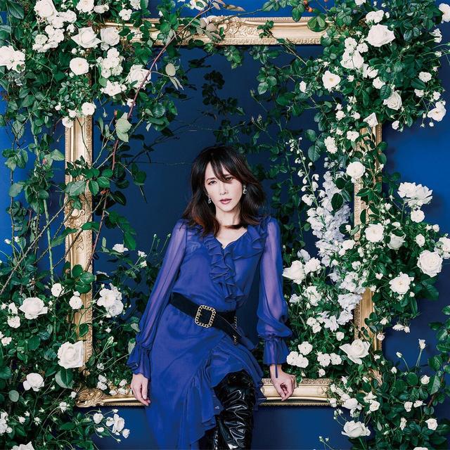 Album cover art for Aoi Honoo