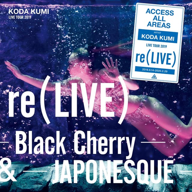 Album cover art for re(LIVE) -Black Cherry- (iamSHUM Non-Stop Mix) in Osaka at オリックス劇場 (2019.10.13)