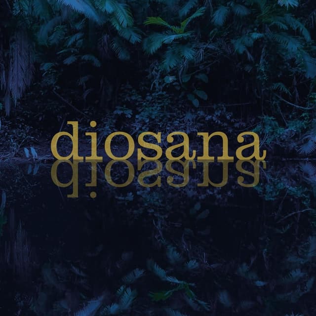 Album cover art for Diosana