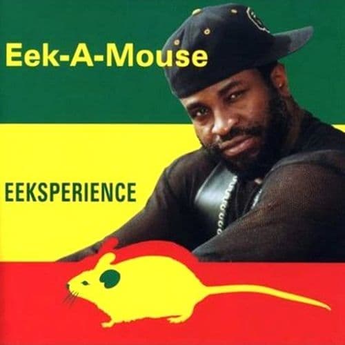 Album cover art for Eeksperience