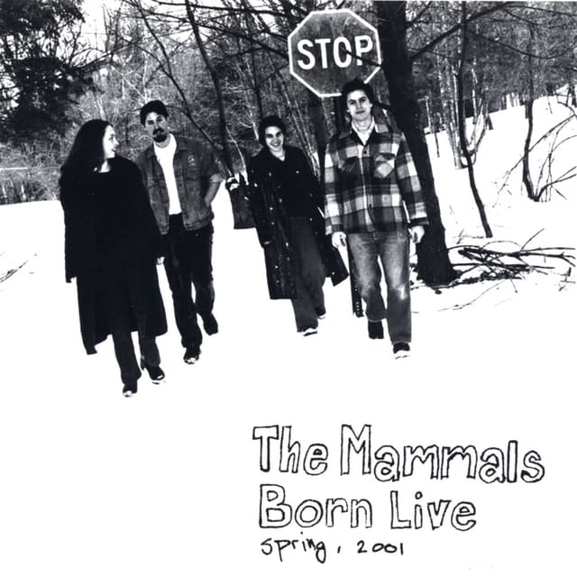 Album cover art for Born Live