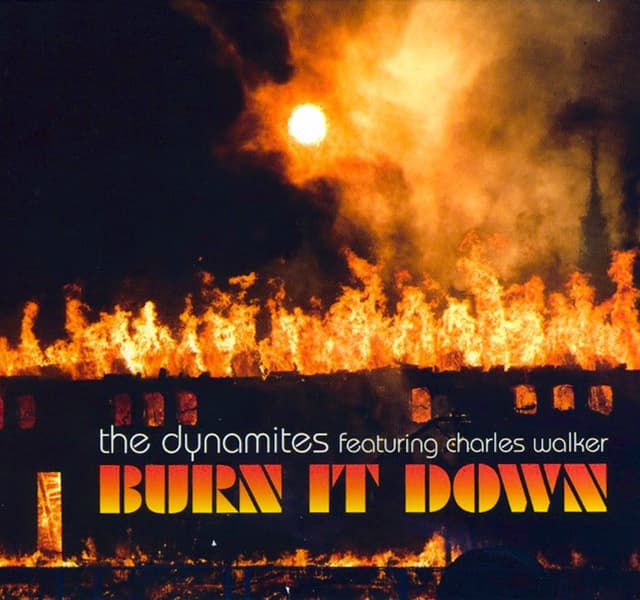 Album cover art for Burn It Down