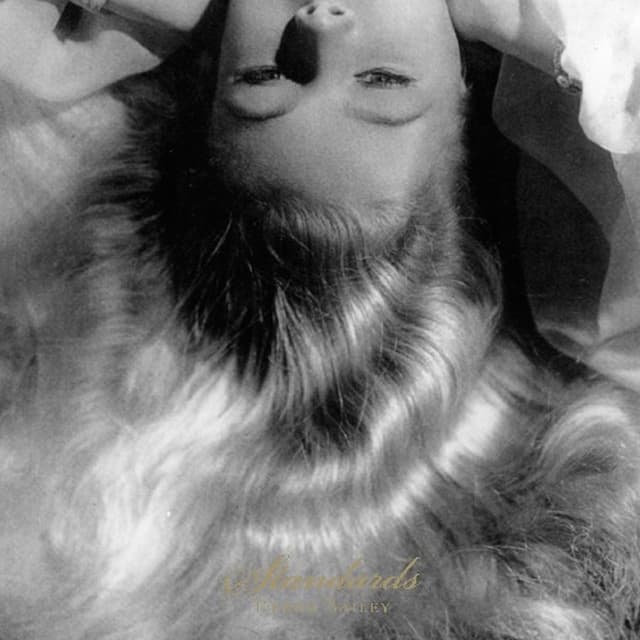 Album cover art for Standards