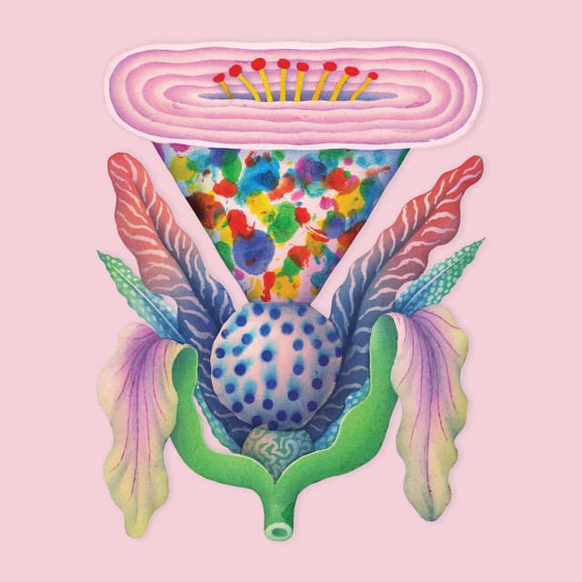 Album cover art for Fool's Spring