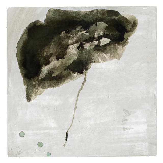 Album cover art for The Fool on the Hill