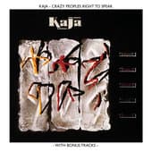 Album cover art for Crazy People's Right To Speak