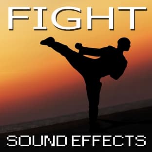 Album cover art for Fight Sound Effects