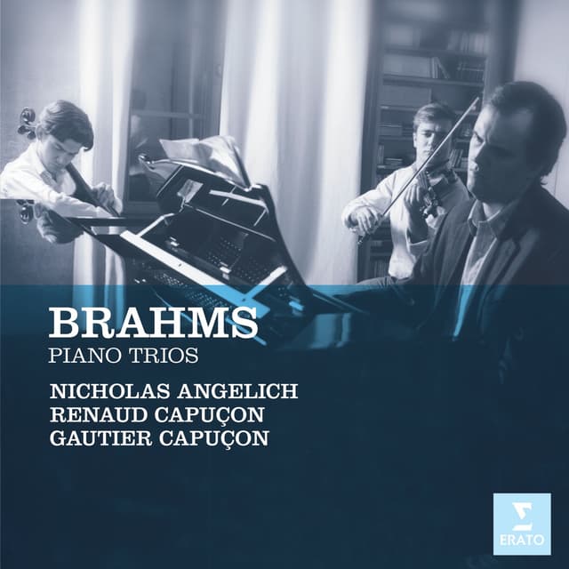 Album cover art for Brahms: Piano Trios