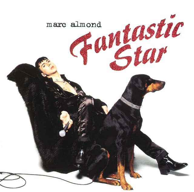 Album cover art for Fantastic Star