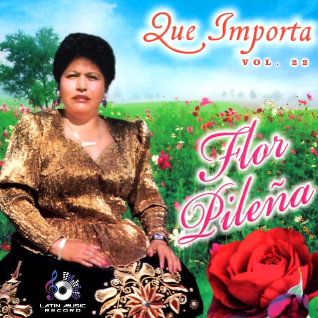 Album cover art for Que Importa