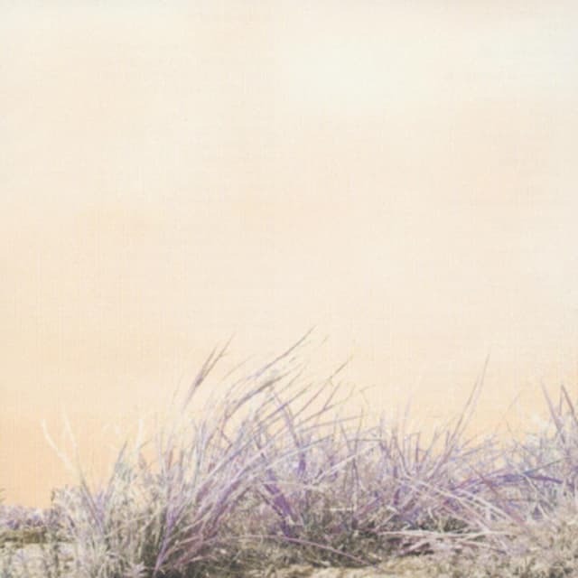 Album cover art for Love / Hate