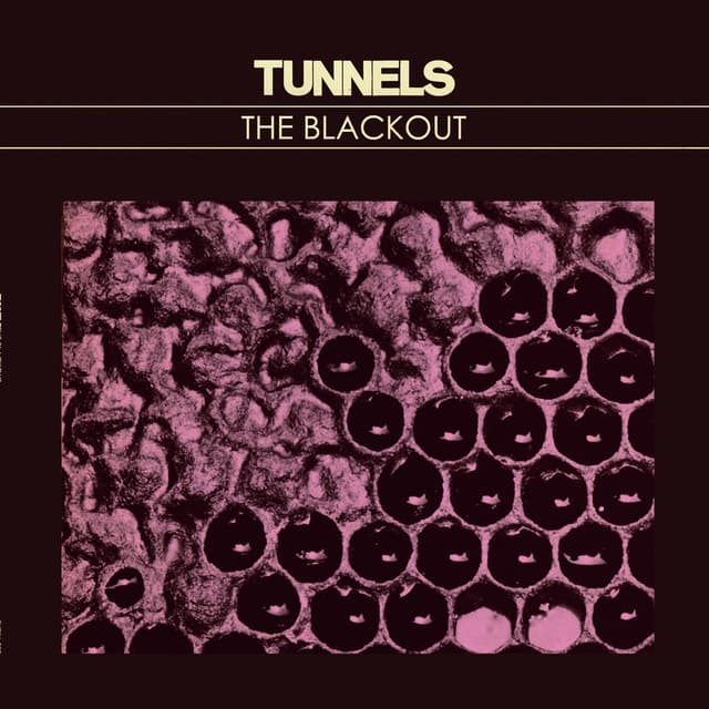 Album cover art for The Blackout