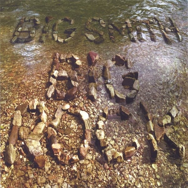 Album cover art for Big Rock
