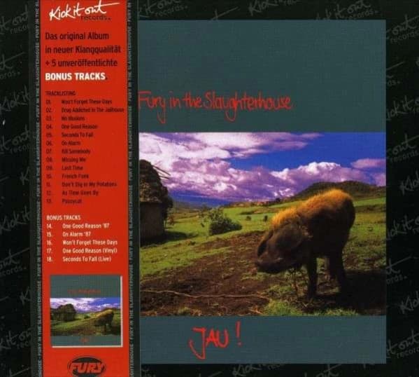 Album cover art for Jau!