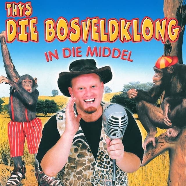 Album cover art for In Die Middel