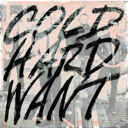 Album cover art for Cold Hard Want