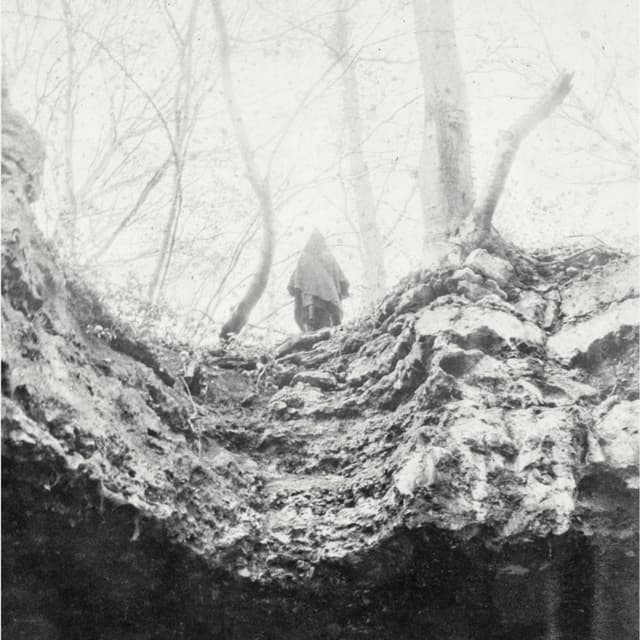 Album cover art for Alien