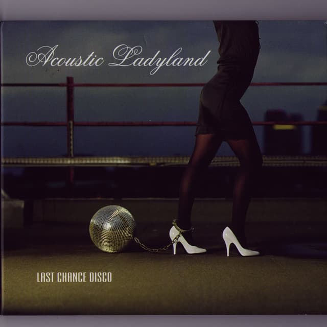 Album cover art for Last Chance Disco