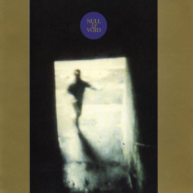 Album cover art for Null & Void