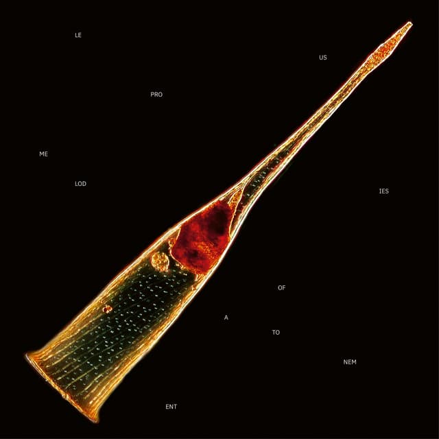 Album cover art for Melodies of Atonement