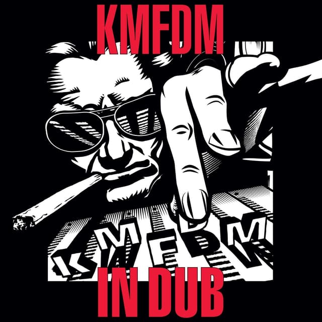 Album cover art for IN DUB