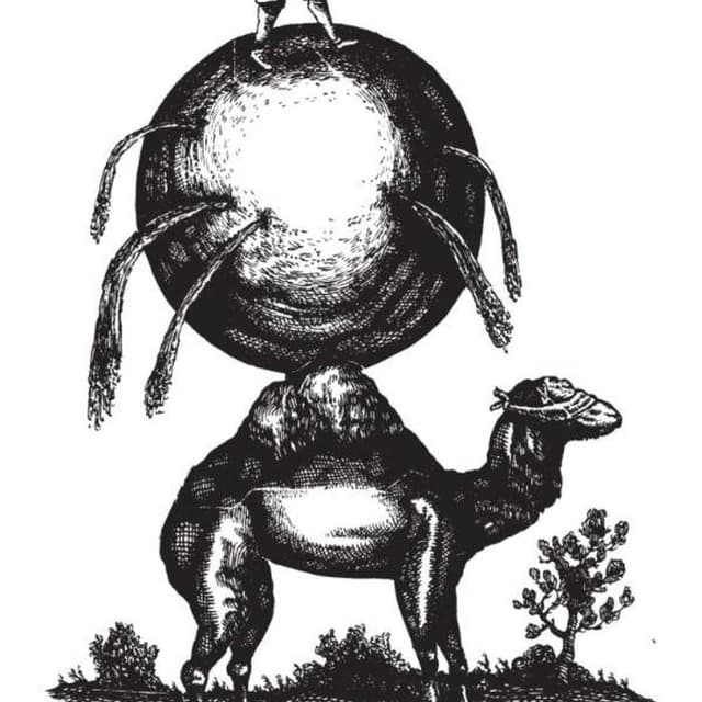 Album cover art for Camel Throat