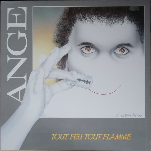 Album cover art for Tout Feu, Tout Flamme