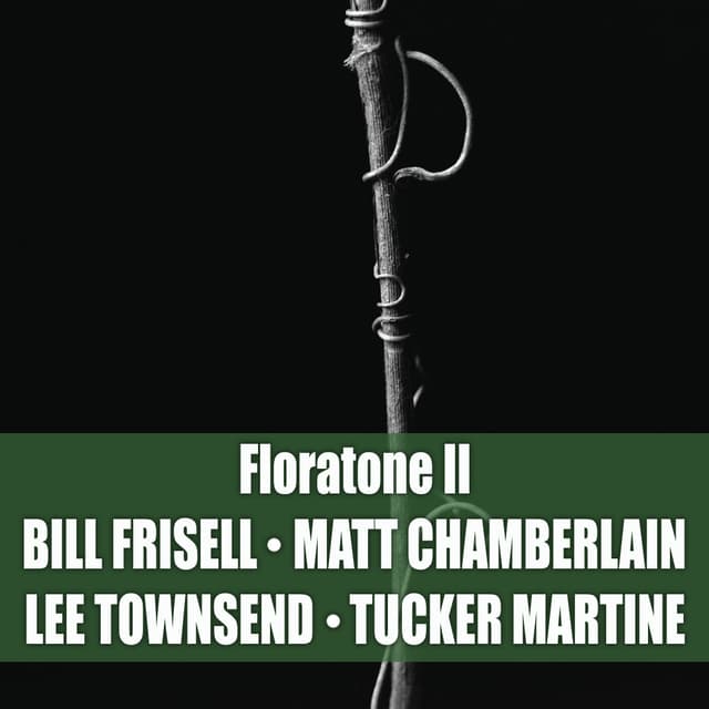 Album cover art for Floratone II