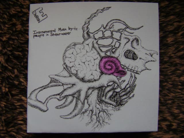 Album cover art for Shearwater is Enron