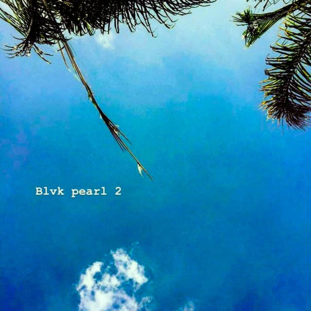 Album cover art for Blvk Pearl 2
