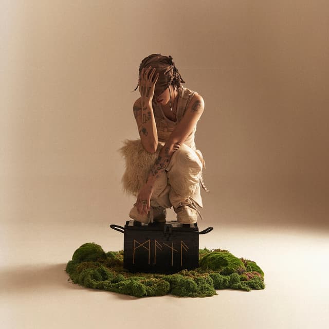 Album cover art for MANA