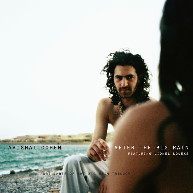 Album cover art for After The Big Rain