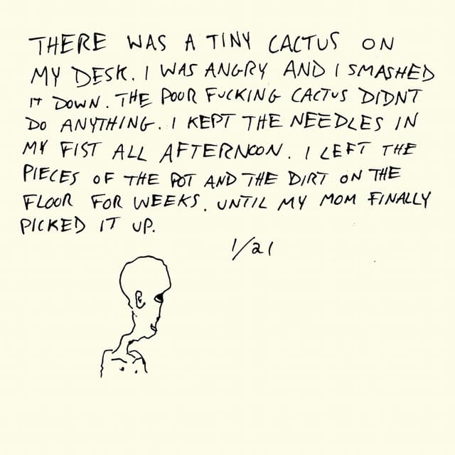 Album cover art for Horse Jumper of Love