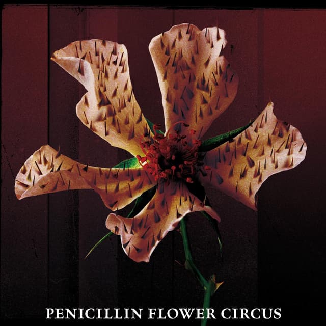 Album cover art for FLOWER CIRCUS