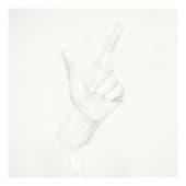 Album cover art for V