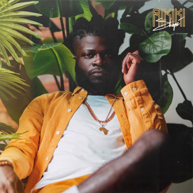 Album cover art for Rikiki