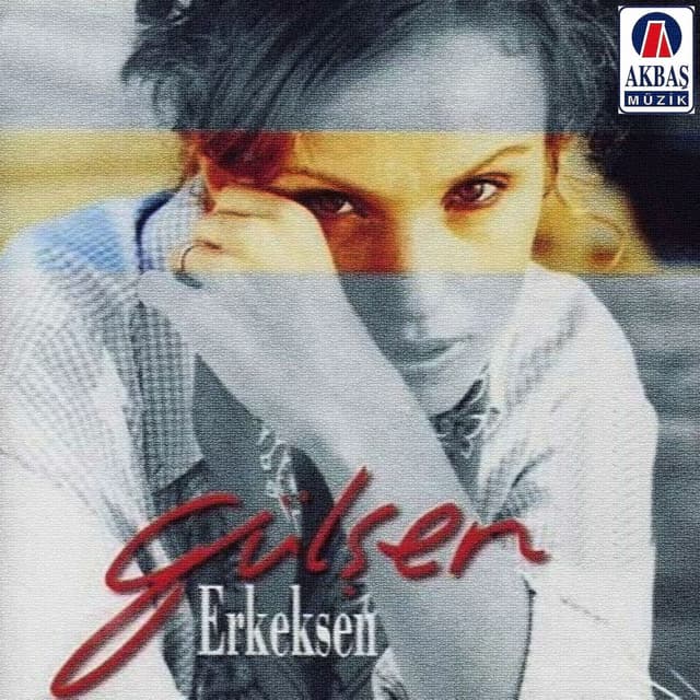 Album cover art for Erkeksen
