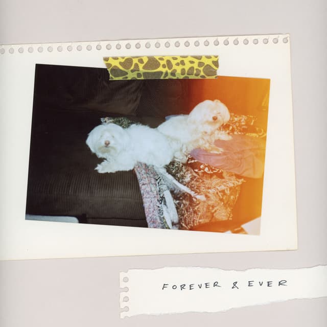 Album cover art for Forever & Ever
