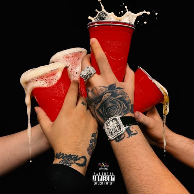 Album cover art for Tristemente Enfiestado