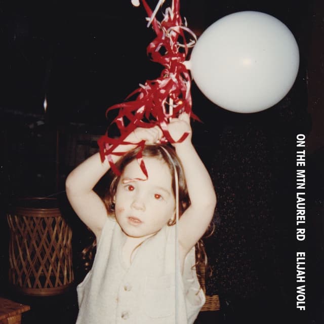 Album cover art for On the Mtn Laurel Rd