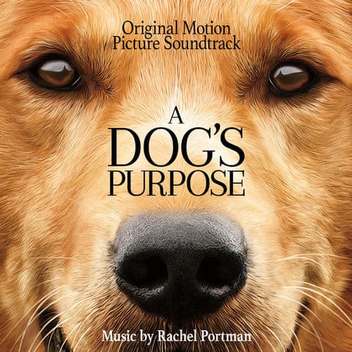 Album cover art for A Dog's Purpose