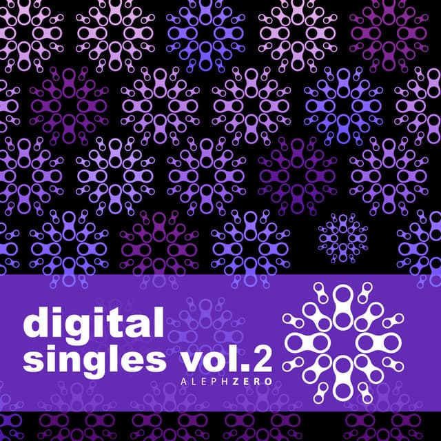 Album cover art for Digital Singles Vol.2