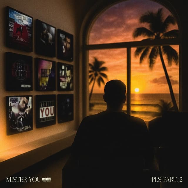 Album cover art for PLS