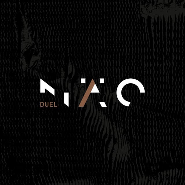 Album cover art for Duel